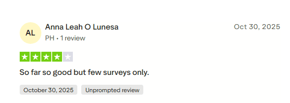 PrizeRebel review by user